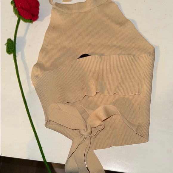 Zara Tan Ribbed Halter Top - Picture 4 of 4